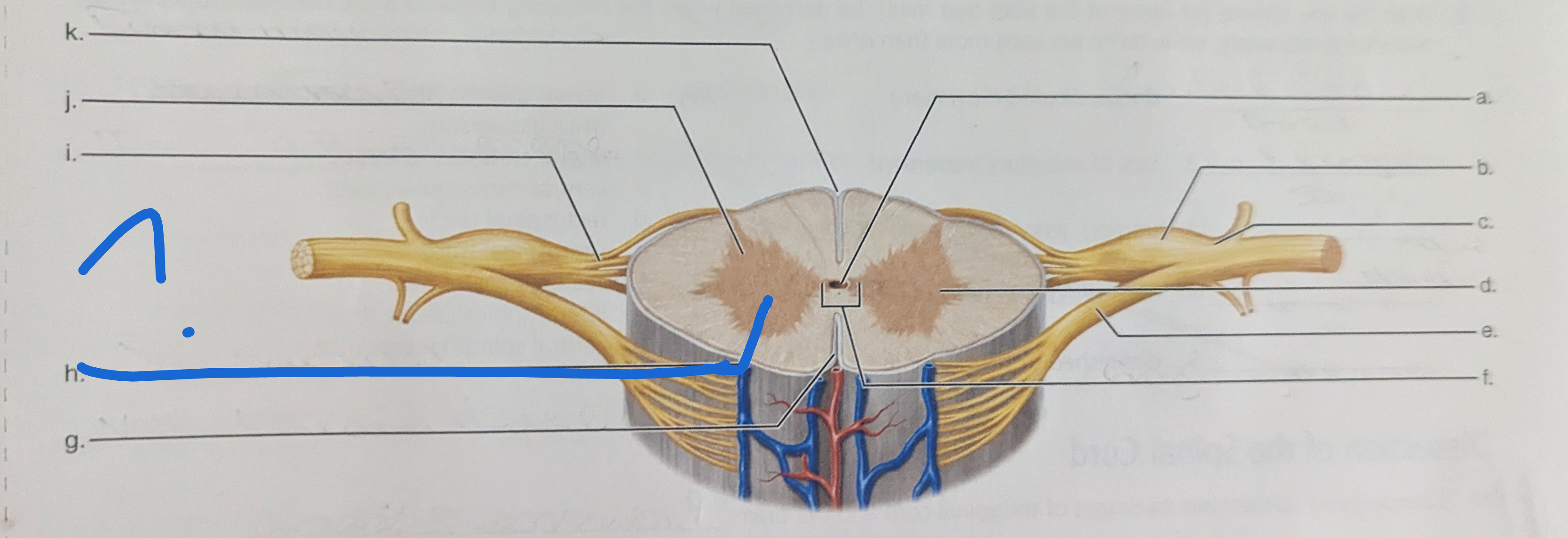 <p>What is the name of this?</p>