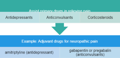 <p><span>Adjuvant drugs can be used to enhance the effects of pain medications, treat concurrent symptoms, and provide analgesia for other types of pain.</span></p><p></p><p><span>Examples (for neuropathic pain)</span></p><ul><li><p><span>amitriptyline (antidepressant)</span></p></li><li><p><span>gabapentin or pregabalin (anticonvulsant) </span></p></li></ul>