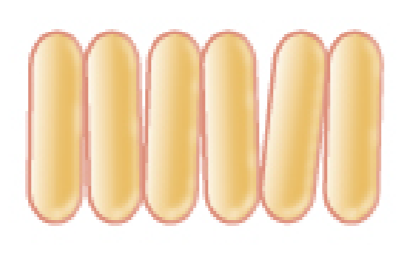 <p>V or L-shaped formations of rods.</p>