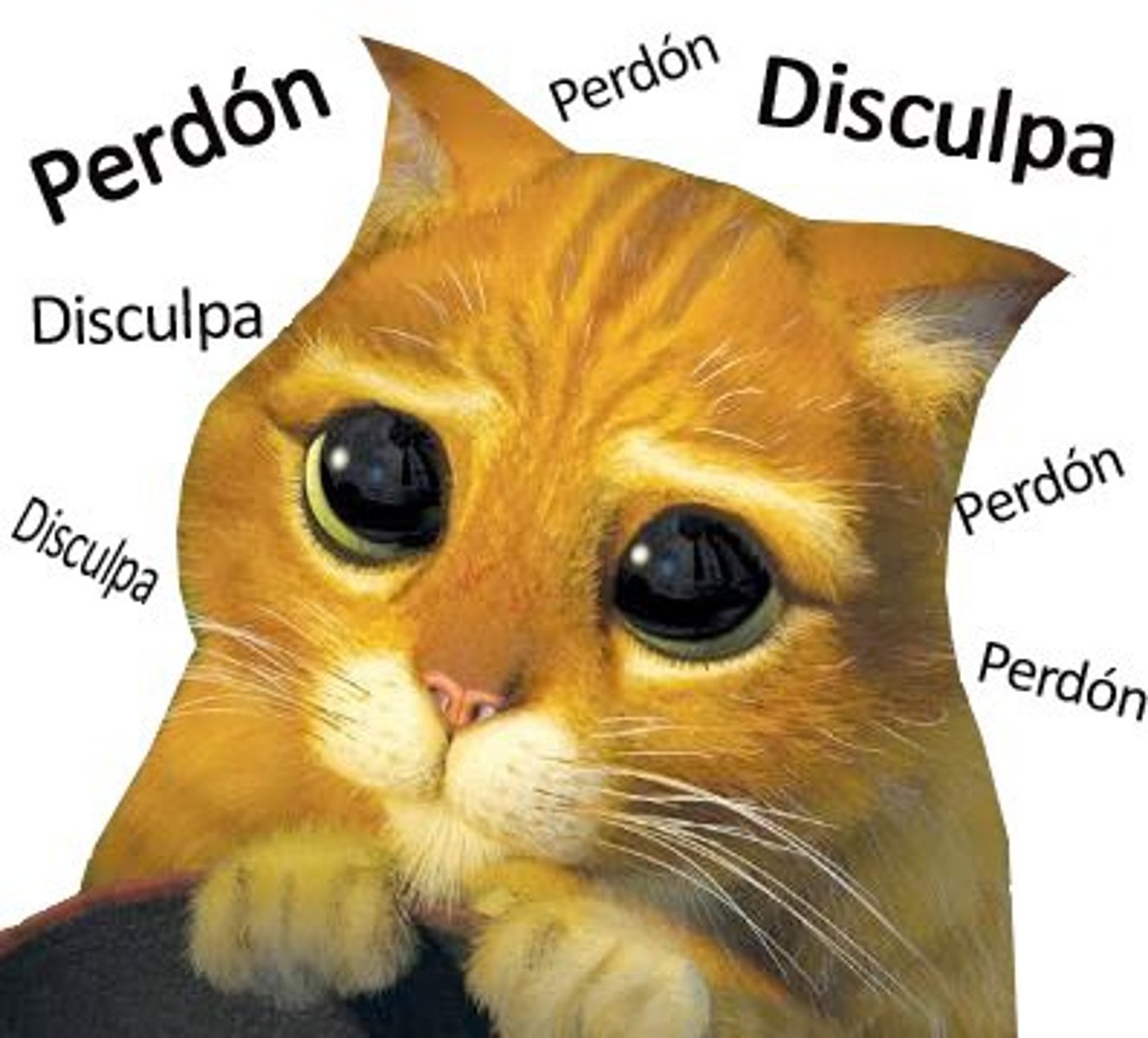 <p>Verzeihung! Pardon!</p>