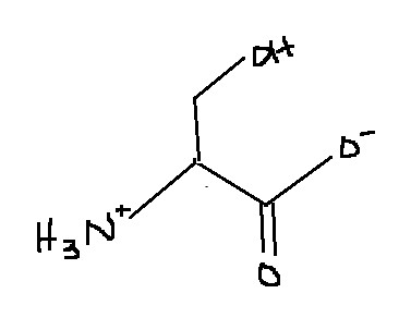 <p>Which amino acid is this?</p>