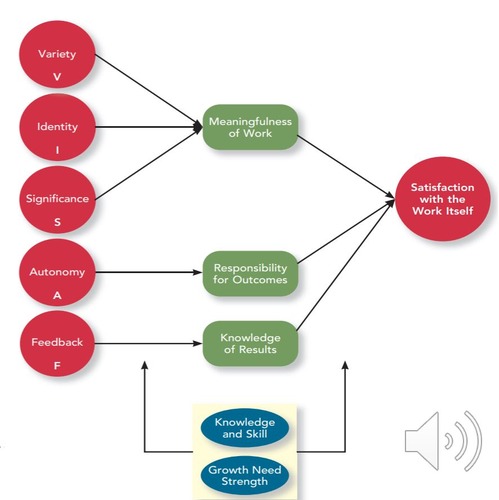 <p>Job Characteristics Theory (VISAF)</p>