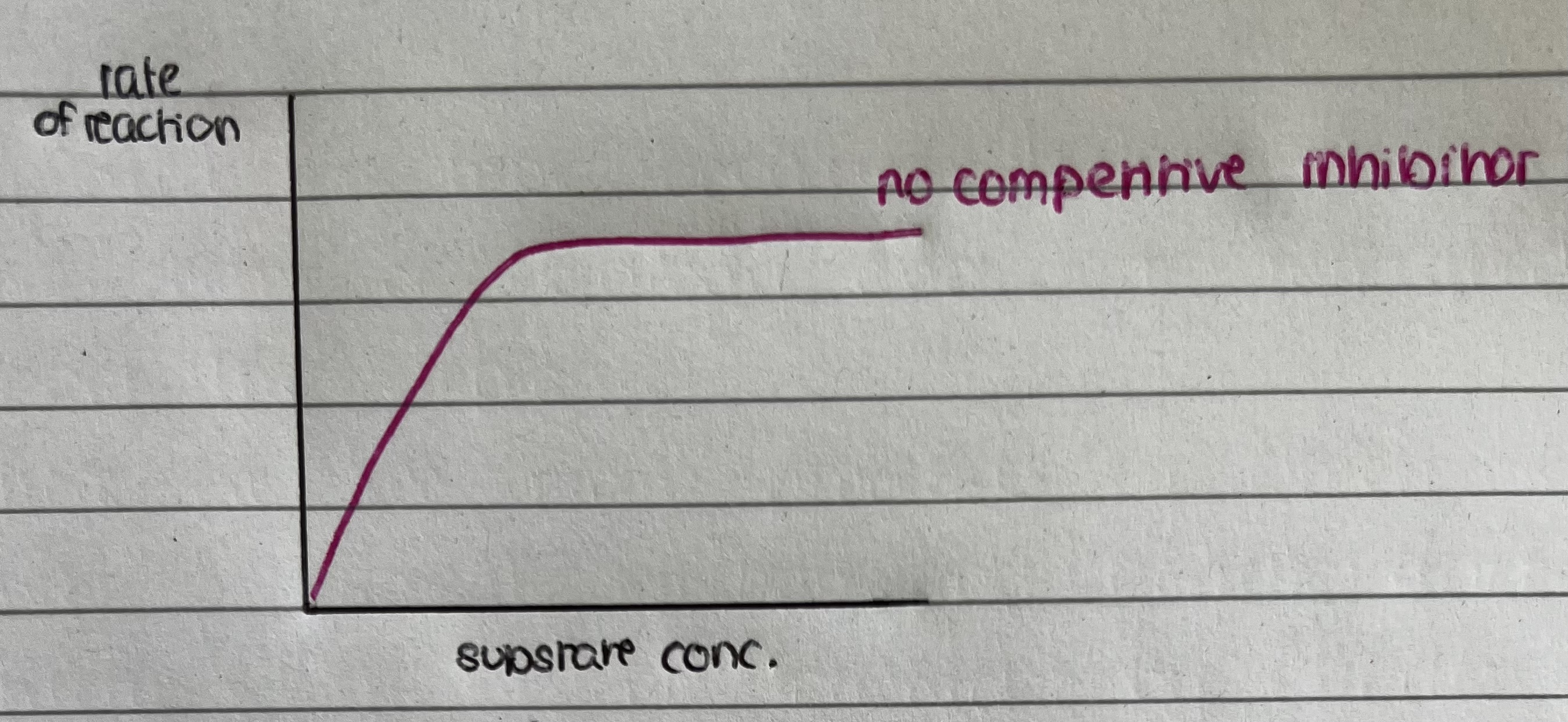 <p>as the substrate concentration increases the rate increases in proportion – at certain substrate concentration rate no longer increases – all active sites are occupied so rate is at its maximum (Vmax)</p>