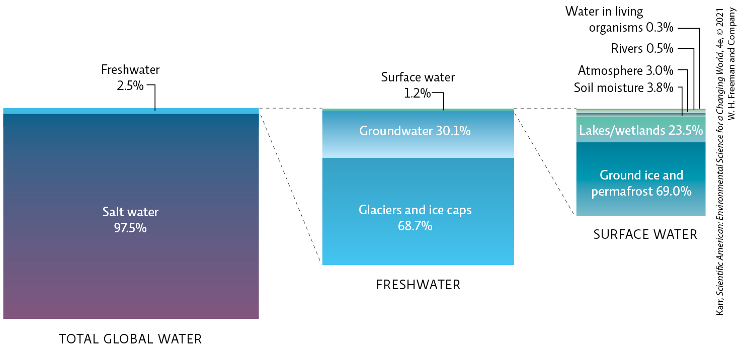 <p>Refer to the infographic. Even though the planet is 75% water, only ___% of this is freshwater.</p><ul><li><p>1.2</p></li><li><p>30.1</p></li><li><p>less than 1</p></li><li><p>2.5</p></li><li><p>23.5</p></li></ul><p></p>