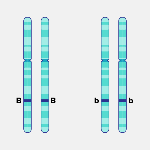 <p><span><span>An organism or cell that has </span></span>two identical alleles for a specific gene at the same genetic locus on homologous chromosomes<span><span>.</span></span></p>