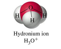 an atom that has gained or lost an electron
