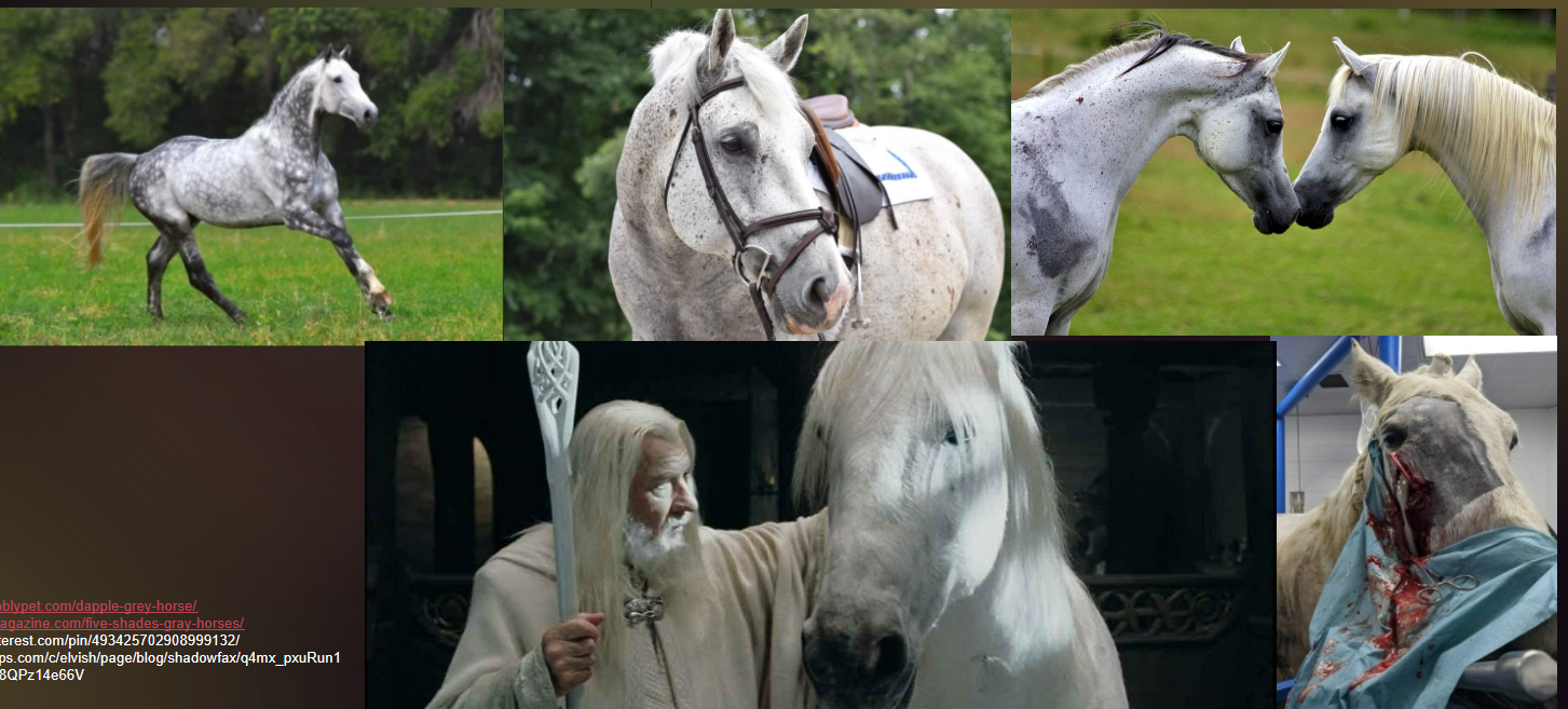 <ul><li><p>coat color</p></li><li><p>Typically born a different color, as they age the hairs silver aka “Greying out”</p><p>~Typically have black skin</p></li></ul><p></p>