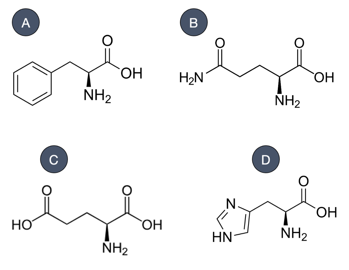 <p><span>Which of the following amino acids is&nbsp;</span><strong>POLAR BASIC</strong><span>?</span></p>