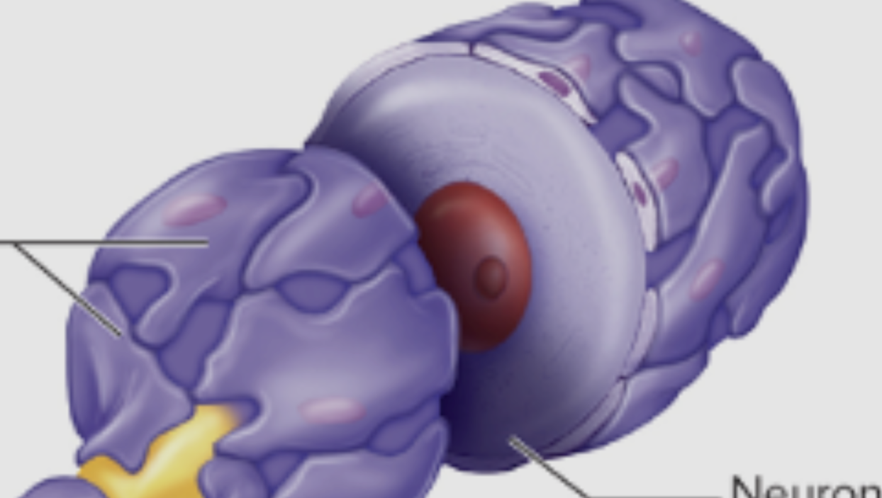 <p>What is this ?</p>