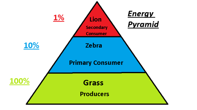 <p>Ten Percent Rule</p>