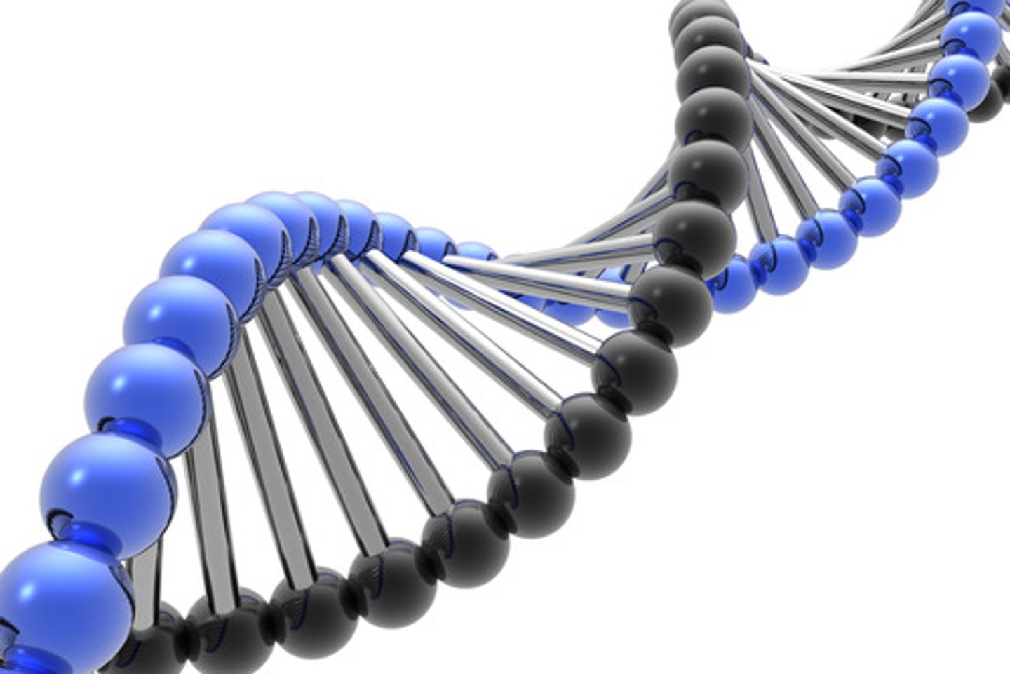 <p>genetic</p>