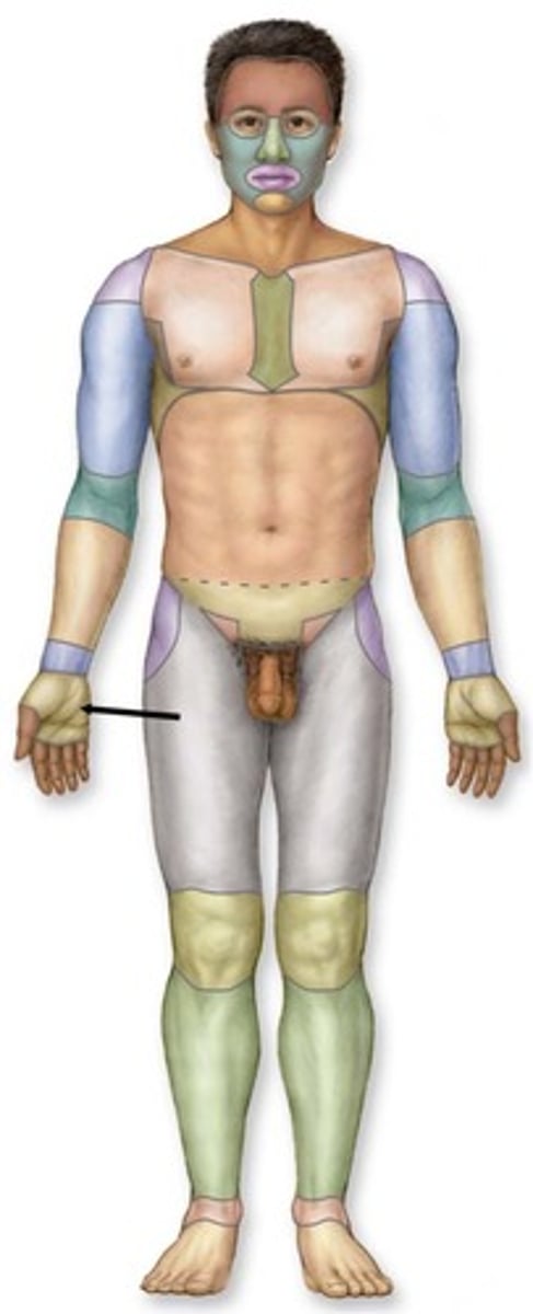 knowt flashcard image