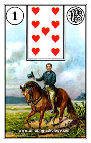 <ol><li><p><strong>Rider</strong></p></li></ol><p></p>