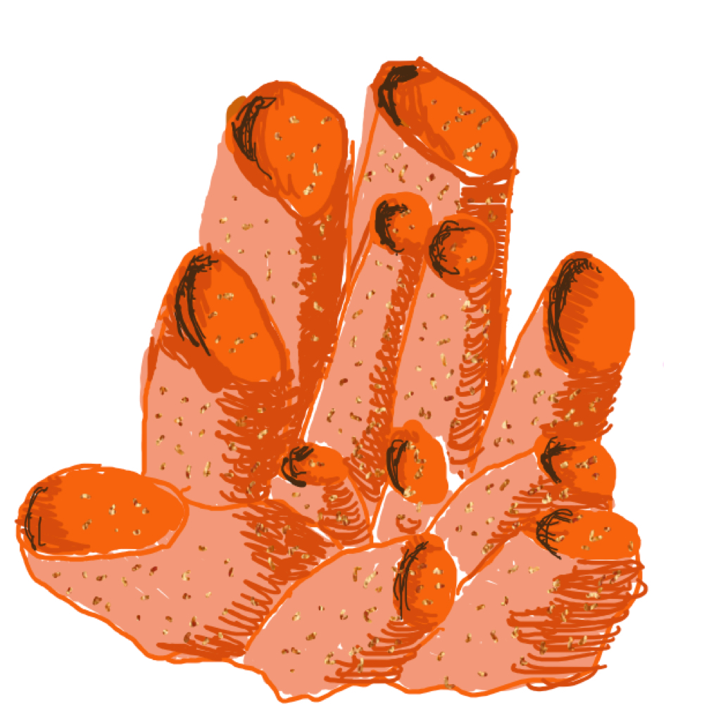 <p>Animals that do not have any internal plane of symmetry.</p>