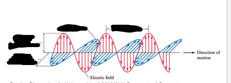 <p>Label this image from left to right…</p>