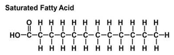 <p>carbon to carbon bonds are single</p><p>contain no double bonds</p><p>fully reduced or saturated with hydrogen atoms </p><p>highly flexible due to free rotation around single bonds</p>
