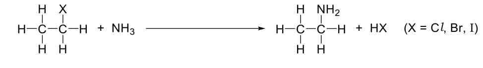 <p>Formation of Amines</p>