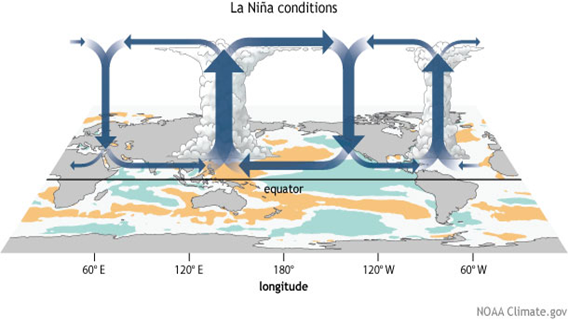 La Nina atmo circulation