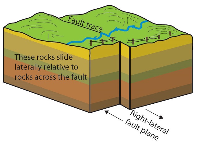 <p>fault trace</p>