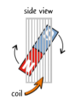 <ul><li><p>You can create the same effect by turning a magnet end to end in a coil, or turning a coil inside a magnetic field. This is how generators work to produce ac or direct current (dc)</p></li><li><p>As you turn the magnet, the magnetic field through the coil changes. This change in the magnetic field induces a potential difference, which can make a current flow in the wire.</p></li><li><p>When you've turned the magnet through half a turn, the direction of the magnetic field through the coil reverses. When this happens, the potential difference reverses, so the current flows in the opposite direction around the coil of wire.</p></li><li><p>If you keep turning the magnet in the same direction - always clockwise, say - then the potential difference will keep on reversing every half turn and you'll get an alternating current.</p></li></ul><p></p>