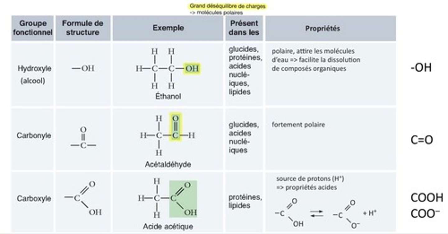 <p>Apportent une fonction particulière aux molécules. D’autres atomes (O, N, S, P) vont se greffer sur un squelette C-H.</p>