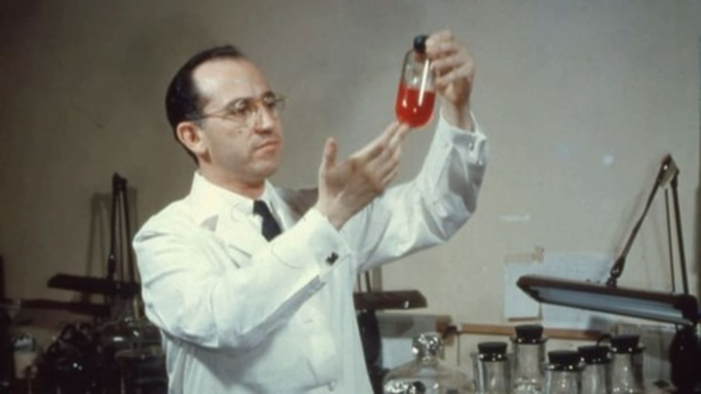 <p>Developed a vaccine for the crippling disease of polio</p>