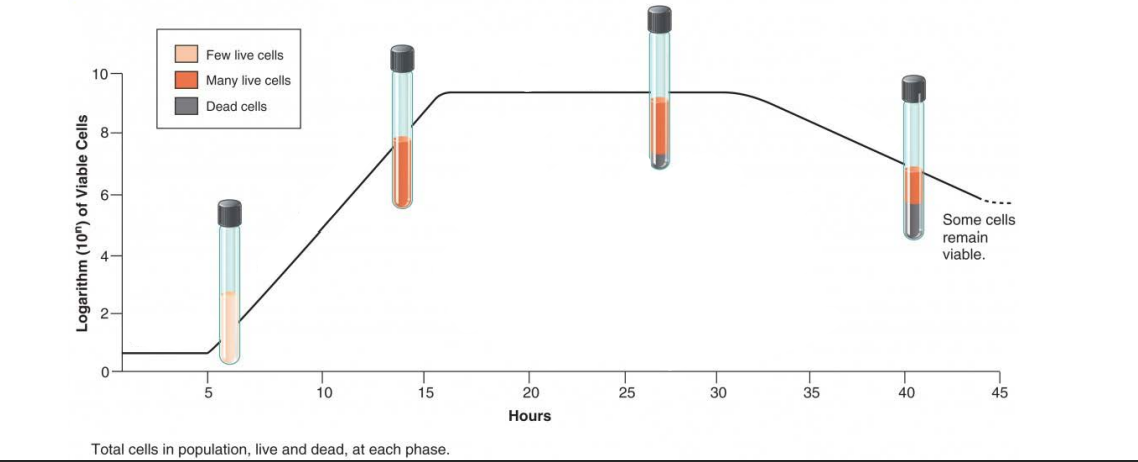 <p>2nd phase</p>