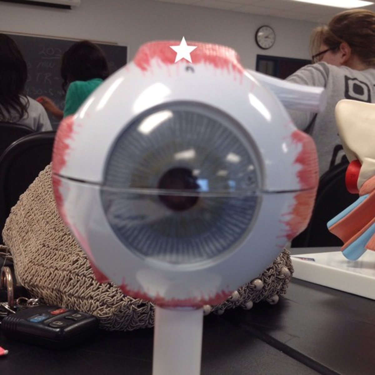 knowt flashcard image