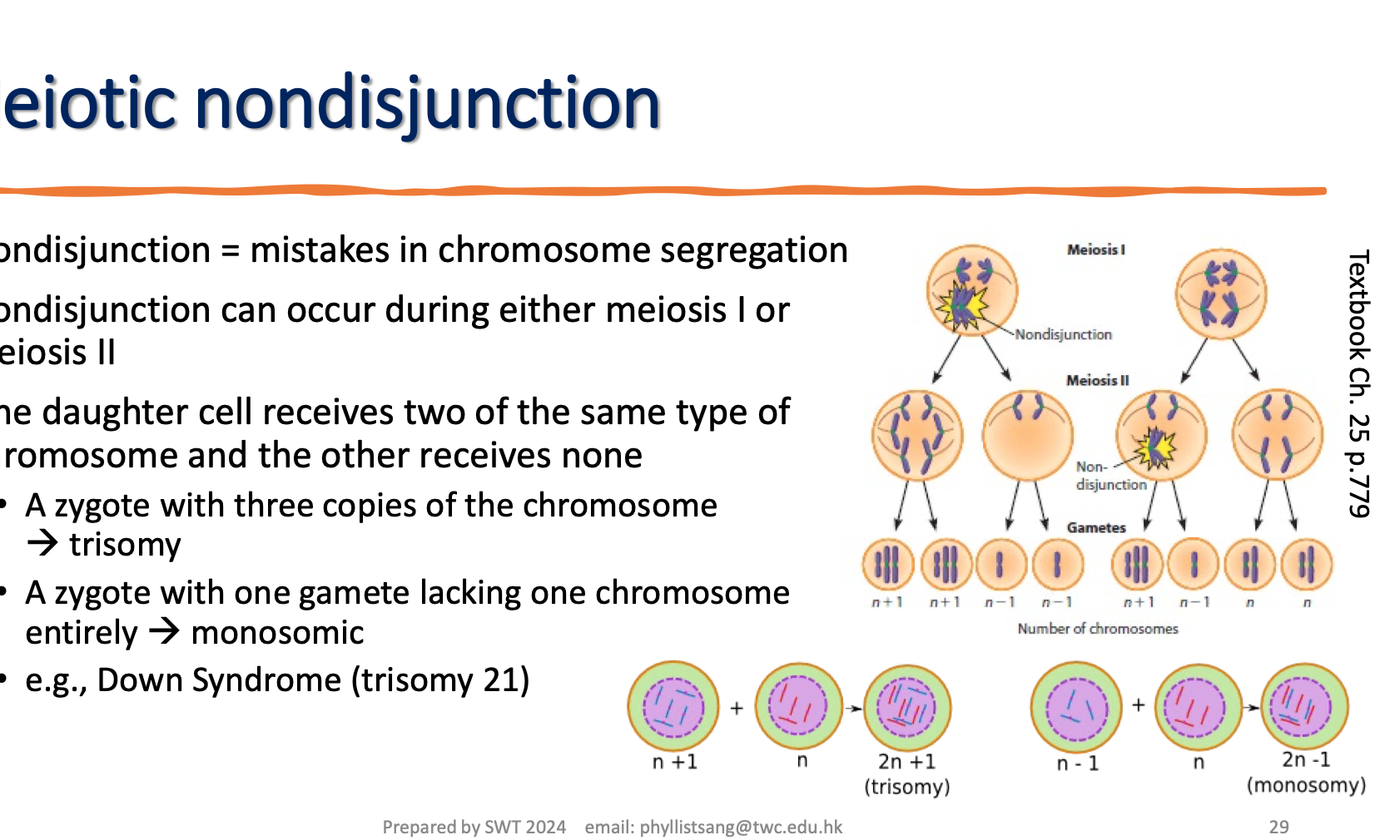 <p>about meiotic non disjunction </p>