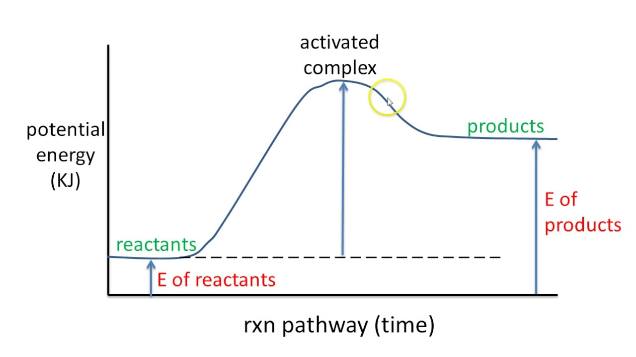 <p>more energy is required to break the bonds than is released when forming new compounds</p>