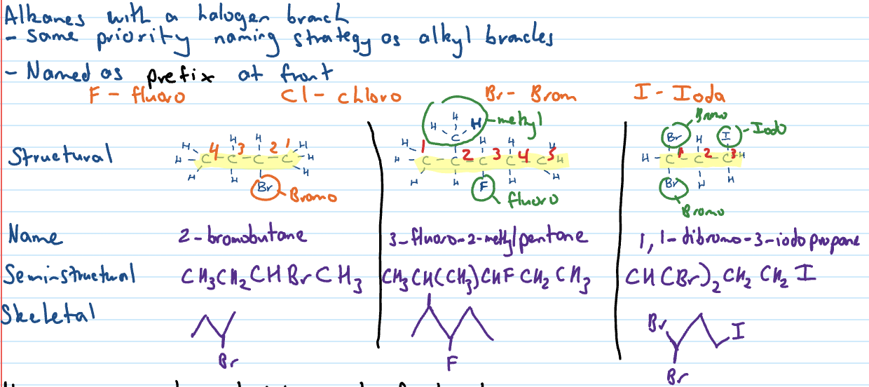 <ol><li><p>Halo groups have same priority as side chain</p></li></ol><ol start="2"><li><p>When multiple, name halo groups in alphabetical order</p></li></ol><ol start="3"><li><p>In semi structural formula they are in brackets</p></li></ol><p>Same priority as alkyl branches</p>