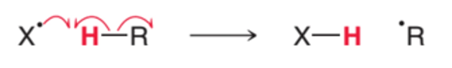 <p>halogen abstracts hydogen + electron from H-R; yields X-H and free radical R</p>