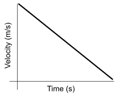 <p>Describe the graph’s <strong>(1) slope, (2) velocity, and (3) acceleration</strong>.</p>