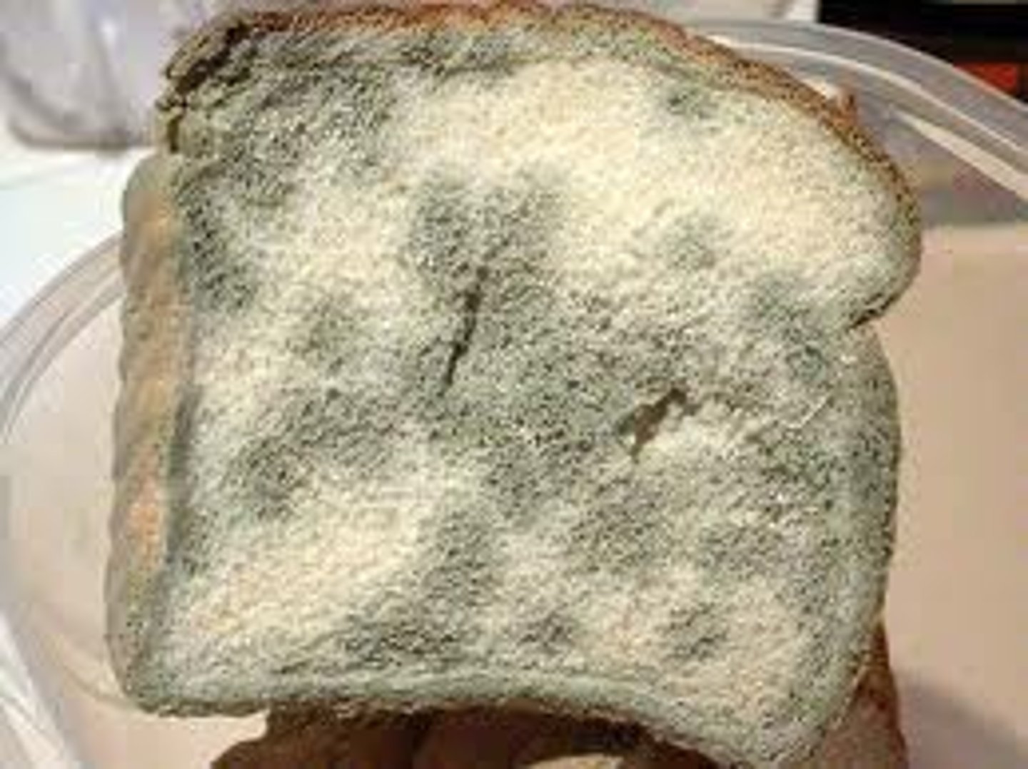 <p>запліснявілий, цвілий(covered with mould: mouldy bread/cheese)</p>