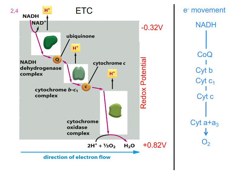 <p>Summary of ETC So far</p>