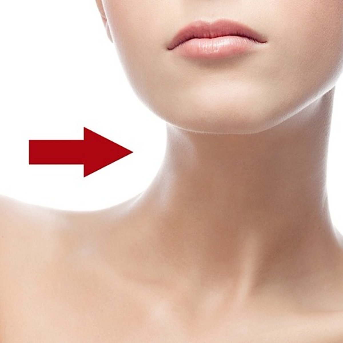 <p>throat</p>