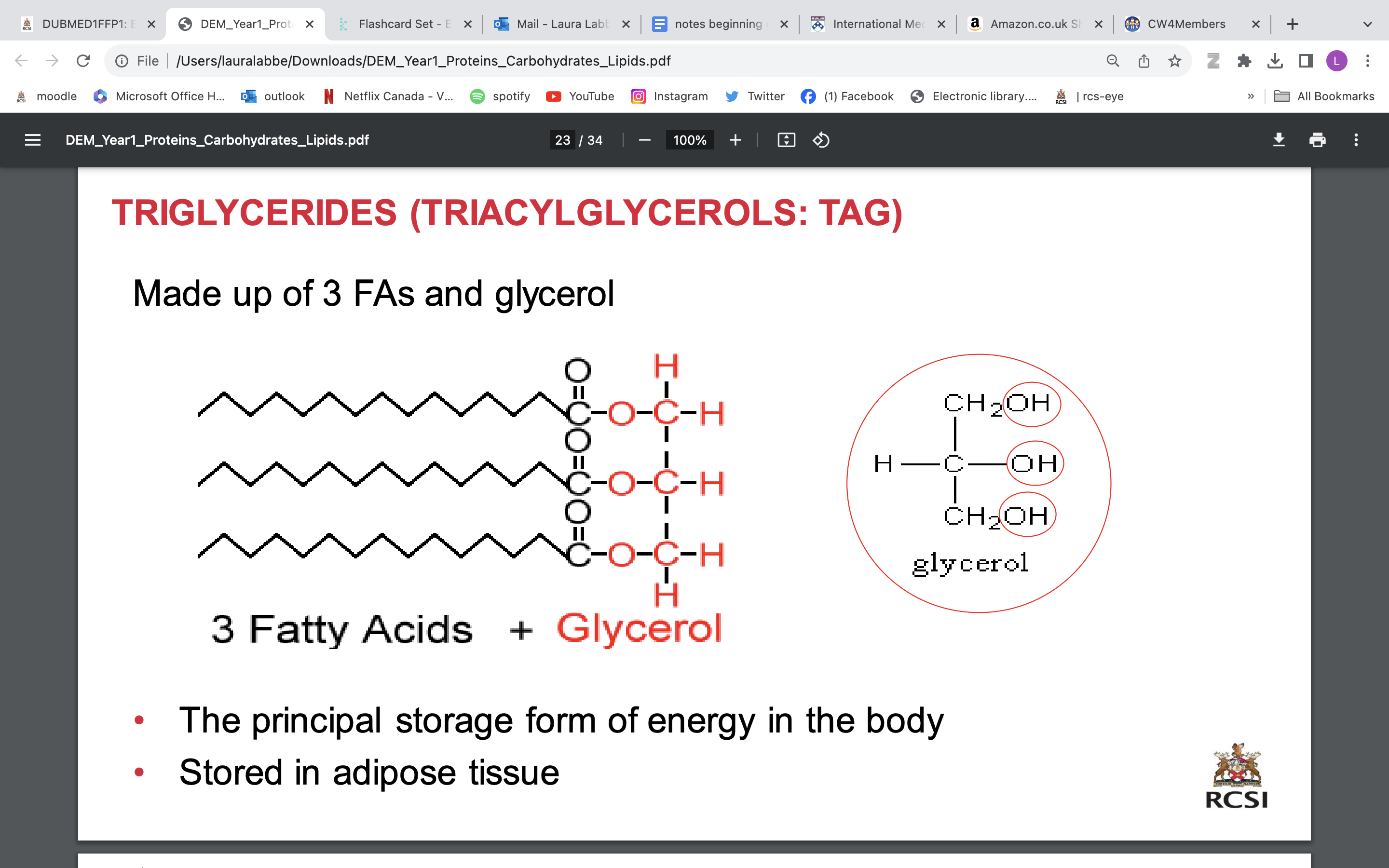 <p>Made up of 3 FAs and glycerol</p><p>• <strong>The principal storage form of energy in the body </strong></p><p>• Stored in adipose tissue</p>