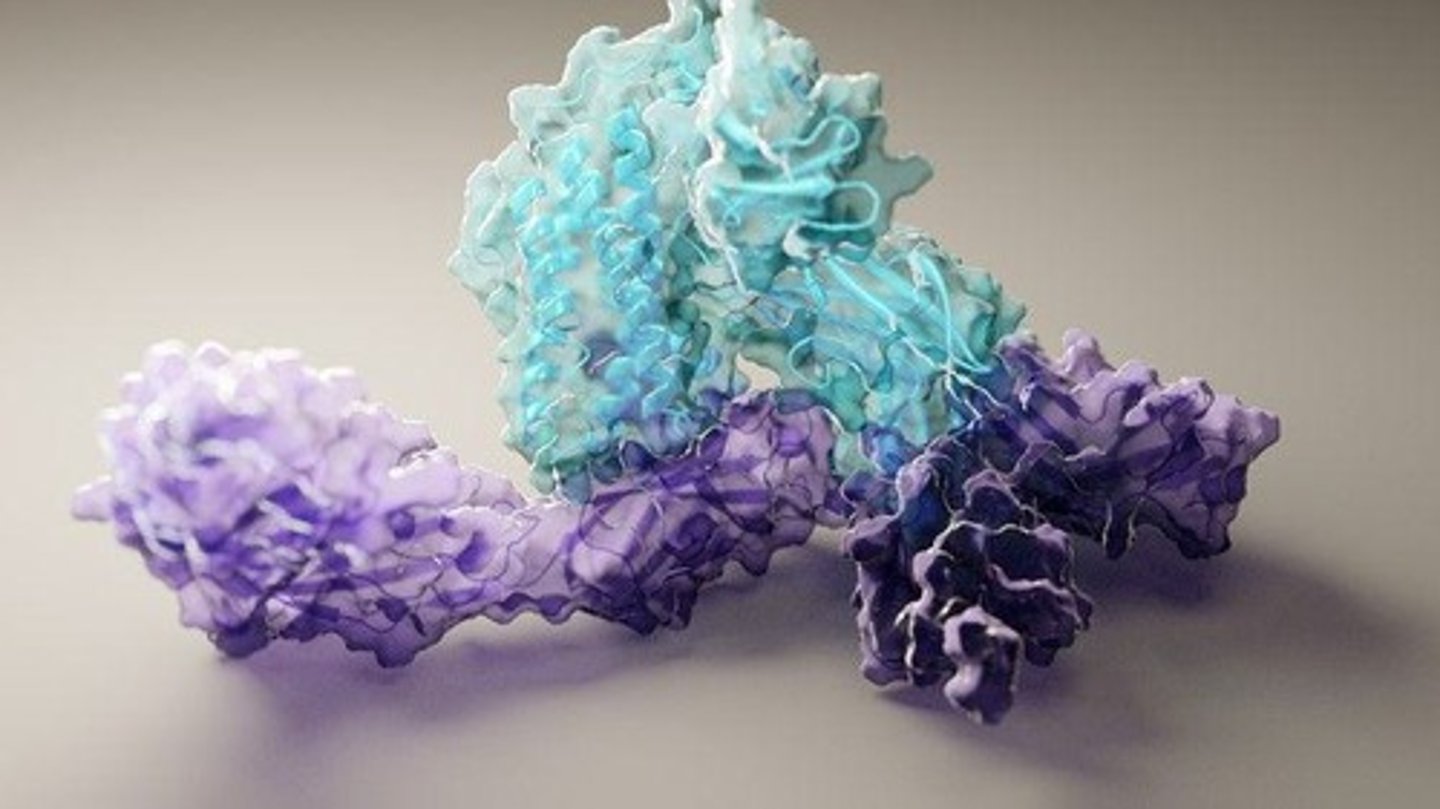 <p>Study of protein structures affecting diseases.</p>