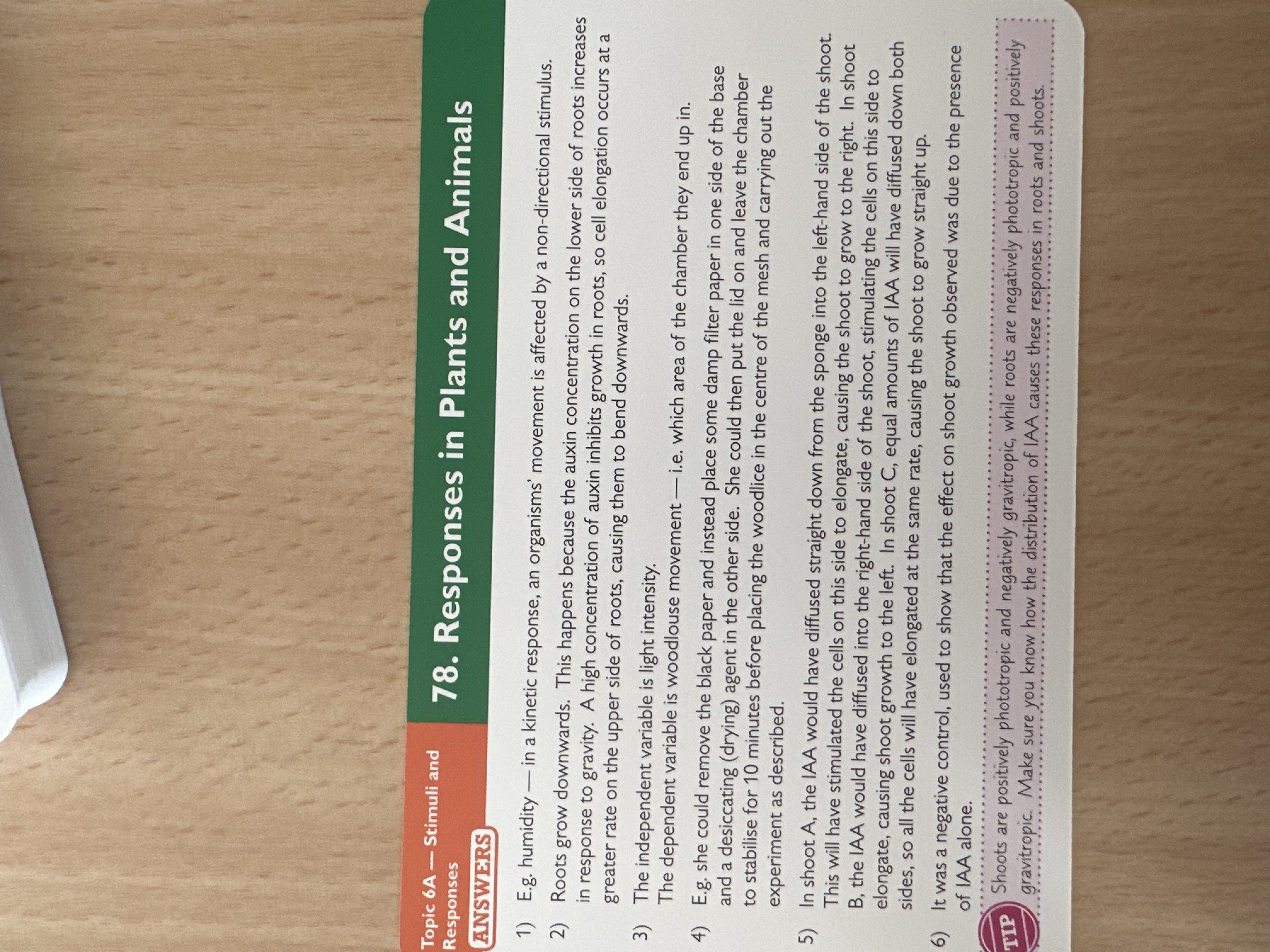 knowt flashcard image