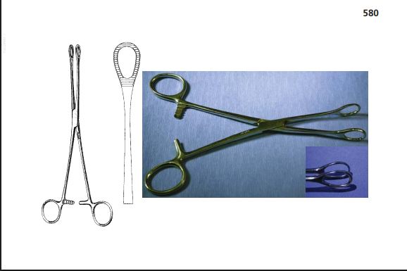 <p>Function: To apply the final paint of Betadine solution to a surgical site or to handle sterile dressings to provide hemostasis. Its length allows the user to reach far into a body cavity.</p>