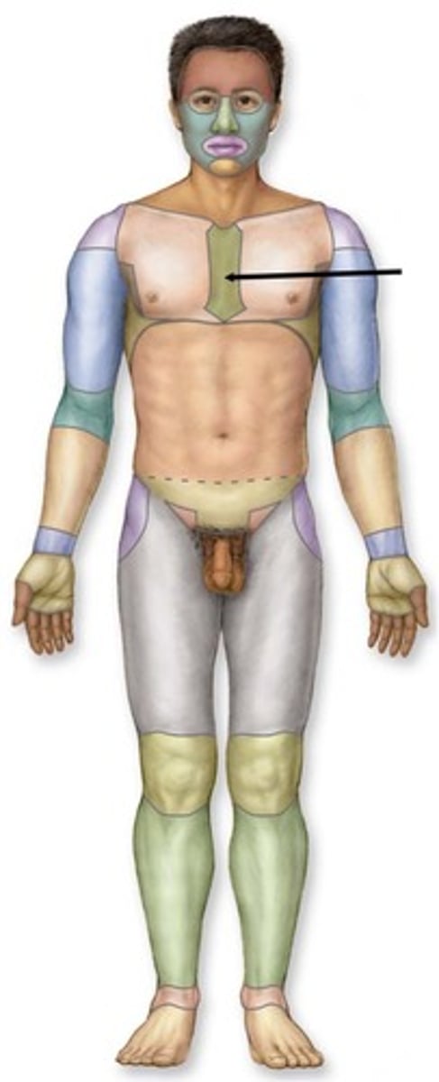 knowt flashcard image