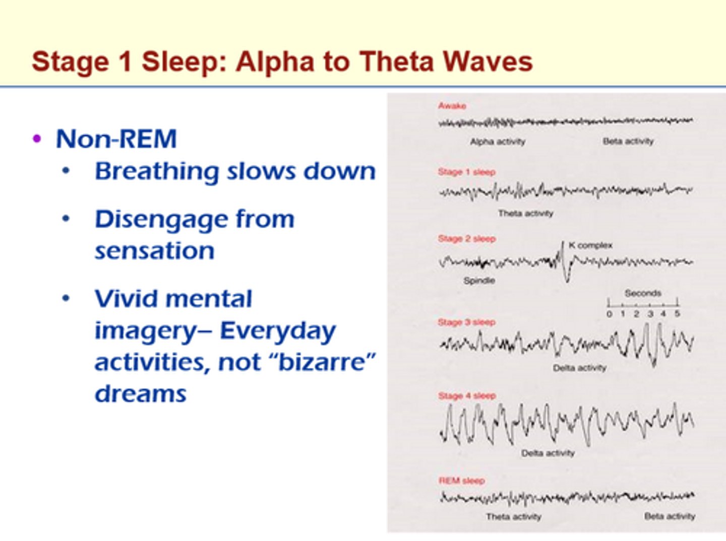 <p>Light sleep; person can be easily woken. Theta waves in stage 1; person in light sleep and can easily be woken.</p>