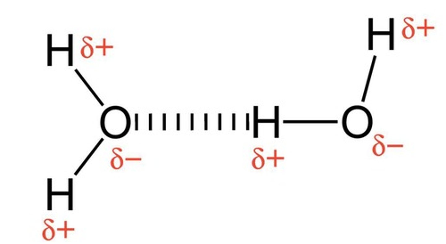 <p>Strong dipole-dipole interaction involving H and N, O, or F.</p>