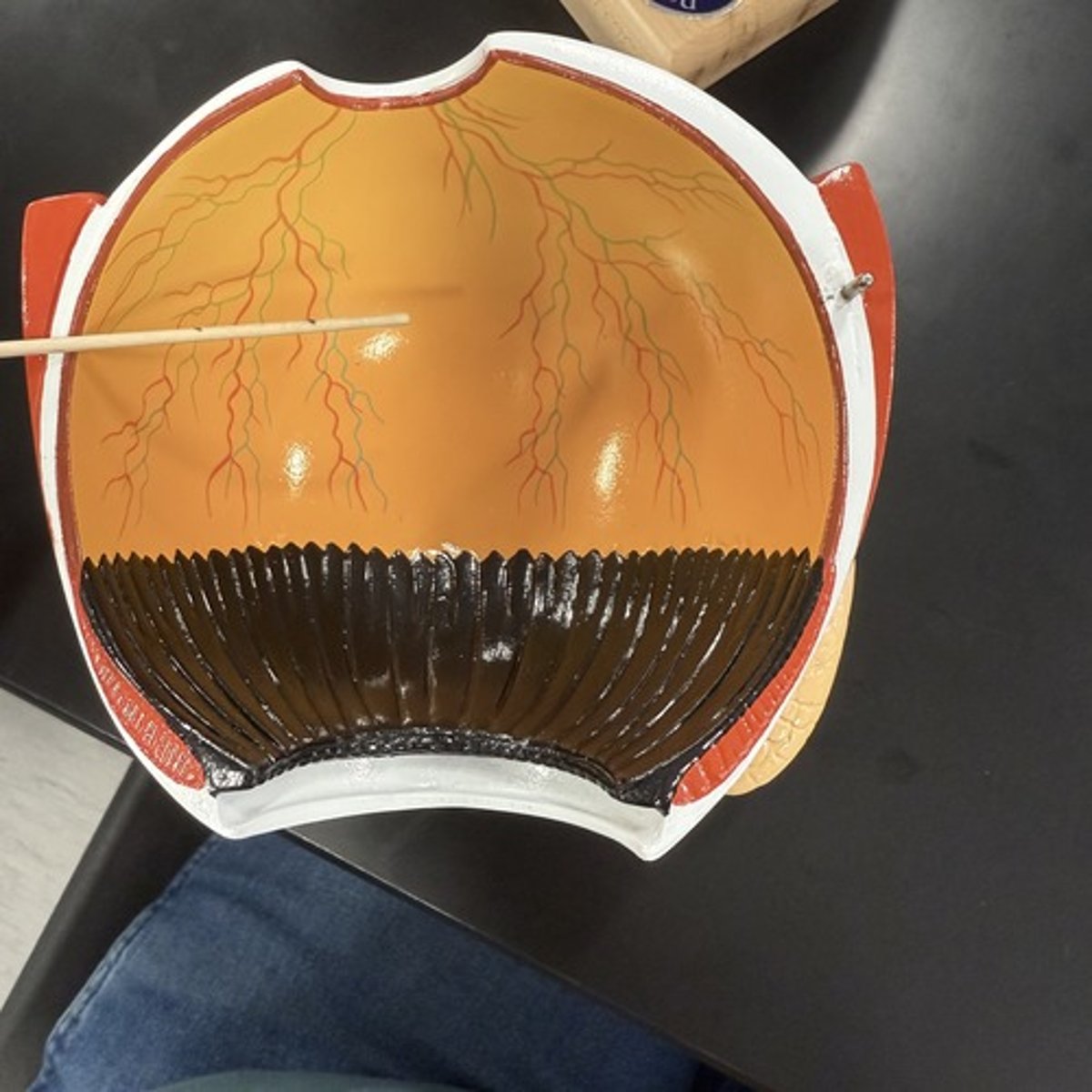 <p>What is this structure?</p>