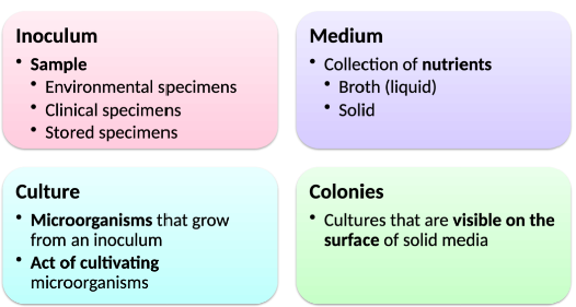 Culture Media 

\- Some microbes are not particular and cab be grown in a variety of media, others require specific nutrients 

\
→ Selective Media 

Contains substances that favor or inhibit the growth of particular organisms 

Dyes or salts added, specific nutrients left out 

Ex. Sabouraud detrose agar - Inhibits bacteria, selects for fungi 

\
→ Differential Media 

Presence of visible changes in medium or differences in the appearance of colonies help differentiate organisms 

Ex. Blood agar - Streptococcus change appearance of blood

\
→ Both Selective and Differential Media

Will do both, will be selective but will also help differentiate between organisms

Ex. MacConkey agar - Selective for gram (-) bacteria and types within the negatives. 