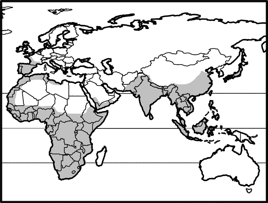 Africa; through southern palearctic; much of oriental region