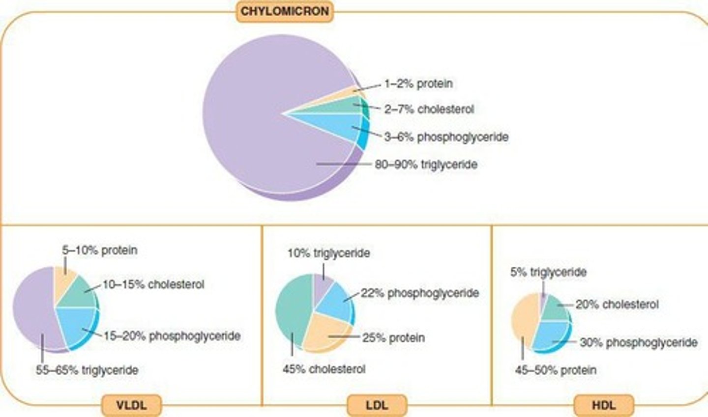 <p>Low density lipoprotein, associated with cholesterol transport.</p>