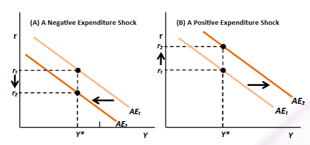 <ul><li><p>output starts at potential and a positive/negative expenditure shock occurs</p></li><li><p>AE curve shifts but the central bank adjusts the real interest rate to keep output constant </p></li></ul><p>→ lowers r to offset a negative expenditure shock</p><p>→ raises r to offset a positive shock</p>