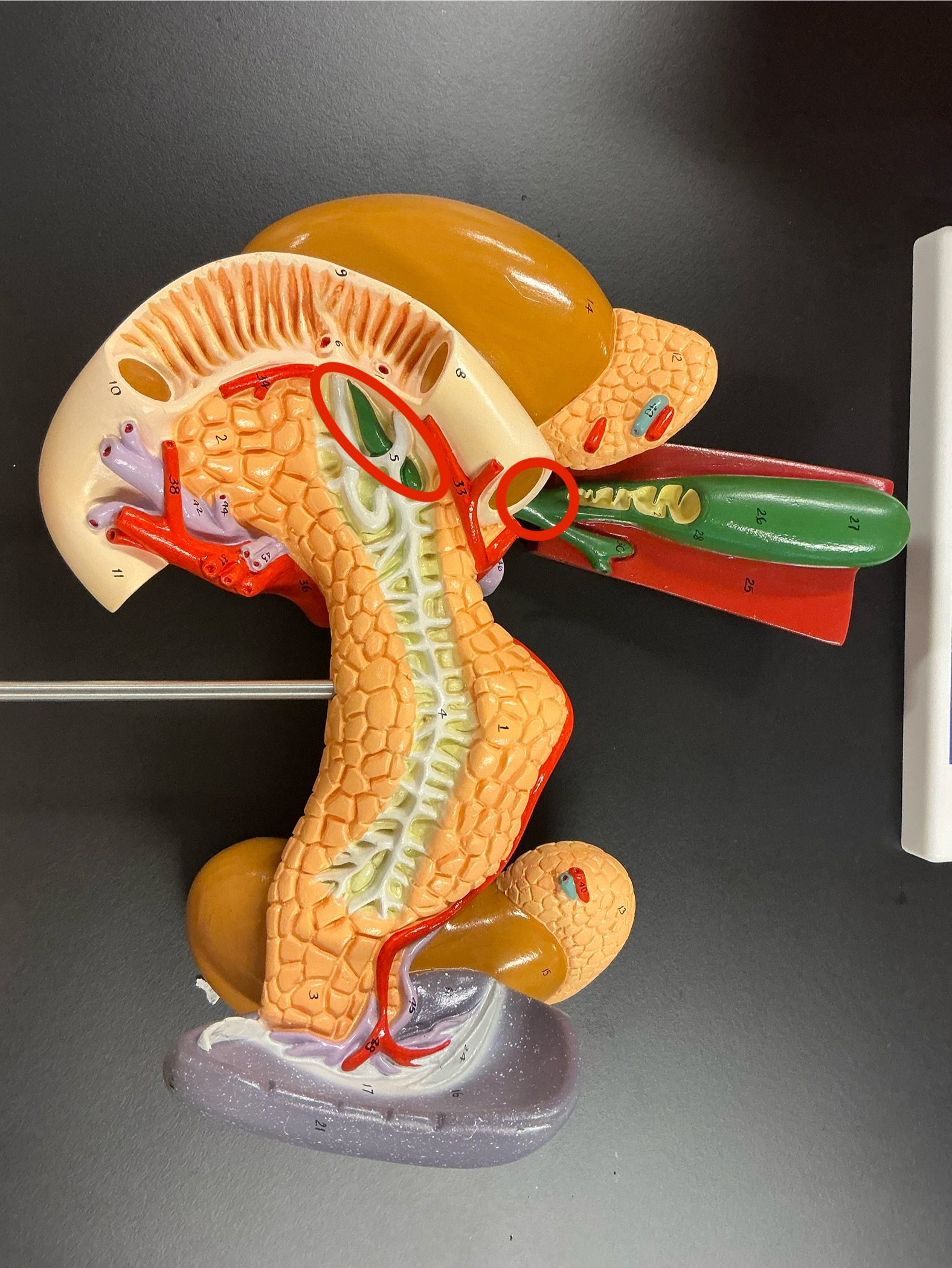 <p>what is this?</p>