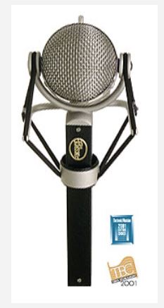 <p>What is this Mic?</p>